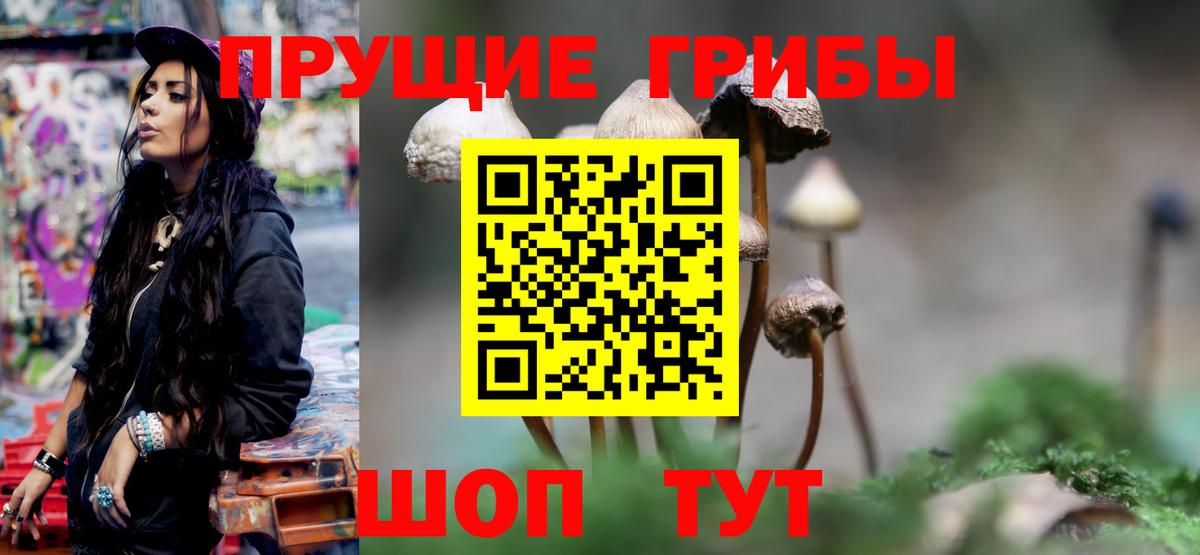 Галлюциногенные грибы GOLDEN TEACHER  Вход с VPN  Нерюнгри 